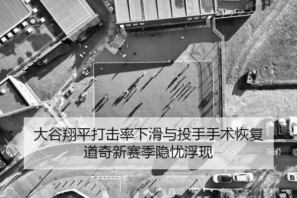 da-gu-xiang-ping-da-ji-lv-xia-hua-yu-tou-shou-shou-shu-hui-fu-dao-qi-xin-sai-ji-yin-you-fu-xian-2-424.jpg